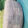 10 stud super single tyre Image 7