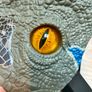 Mattel Jurassic World Velociraptor Blue Dinosaur Mask Image 7