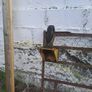 old forge gate Image 5