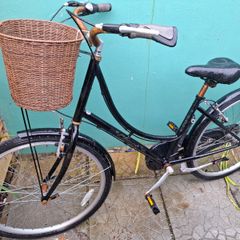 Ladies Bike