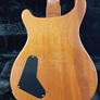 PRS Custom 22 -2003 -Brazilian Image 5