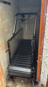 dog treadmill