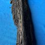 bog oak Image 4