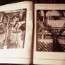 Haynes Nissan/Datsun Sunny Owner Workshop Manual. Image 4