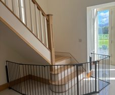 Baby Dan safety gates / fire guard