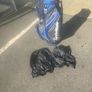 Golf Bag Golf Bag Taylormade pro cart 6 Image 2