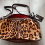 Dolce & Gabbana Bag Image 3