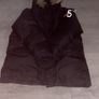 canada goose Image 3