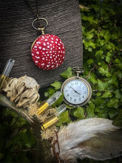 Mushroom Pocket Watch on Long Brass Chain Wonderland Fantasy White Rabbit