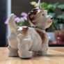 German porcelain terrier Image 5