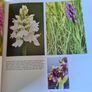 The Fertile Rock. Seasons In The Buren. By Carsten Kriegar.. Beautiful  Photographic  Seens Of The Buren. LARGE VOLUME BOOK. Image 8