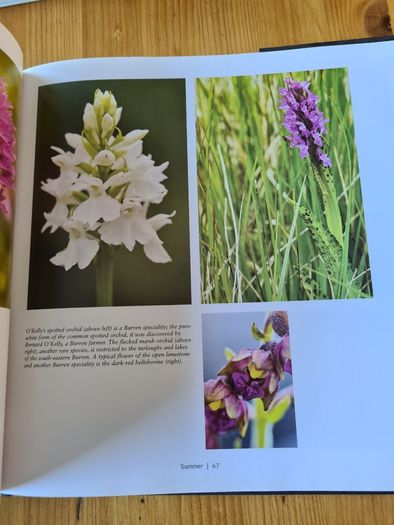 The Fertile Rock. Seasons In The Buren. By Carsten Kriegar.. Beautiful  Photographic  Seens Of The Buren. LARGE VOLUME BOOK.