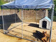 main image for ad 20 X 10ft Dog Run