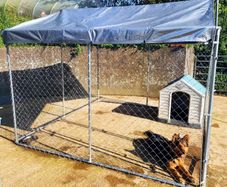 20 X 10ft Dog Run