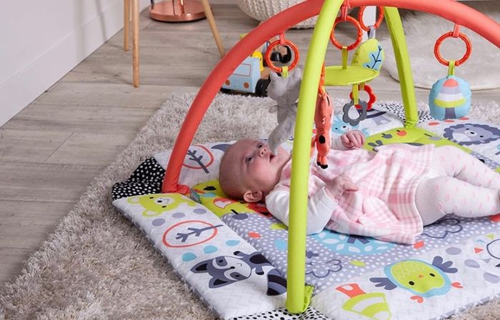 Baby Peppermint Trail Play Gym (FREE POSTAGE)