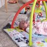Baby Peppermint Trail Play Gym (FREE POSTAGE) Image 5