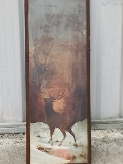 Stag