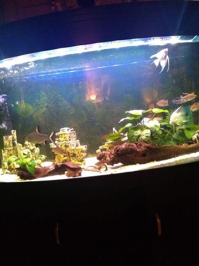 Juwel Vision Tank + Stand 260 Litres