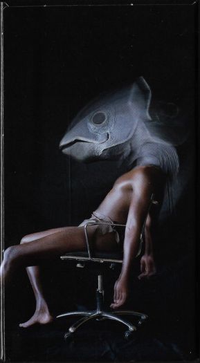 KATE BUSH  |  Remastered Part I    Box Set