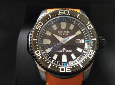As New Citizen Eco Drive Divers Watch