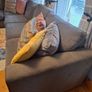 couch Image 4