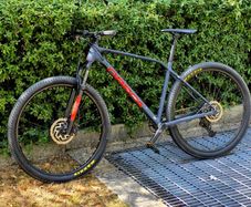 Orbea Alma 29" bike
