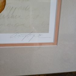Lovely signed illustration i Pomodori (Tomato)