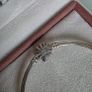 Pandora fireworks bangle bracelet very good condition,for the right size please check the last photo. Image 4