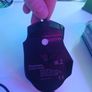 Mouse Image 2