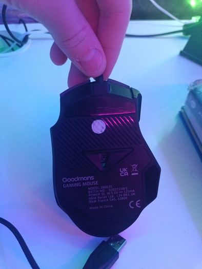 Mouse