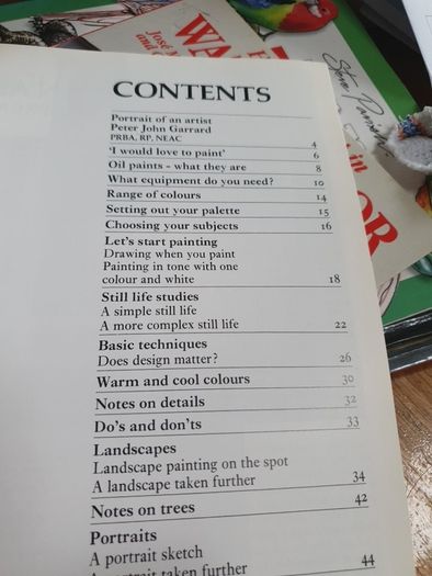 Learn To Paint Oils In Very Good Condition From Pet Smoke Free Home Lots Of Books Listed For 1 2 3 Euro