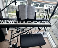 Roland FP-10 Digital Piano + X-Stand & Stool (Complete Package) - Mint Condition