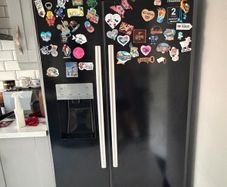 Hisense plumbed American fridge