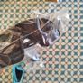 Cycling Sunglasses Image 5
