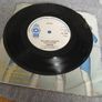 Sheeba Horoscopes Ireland '81 Eurovision entry Image 4