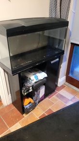 80l fish tank with stand