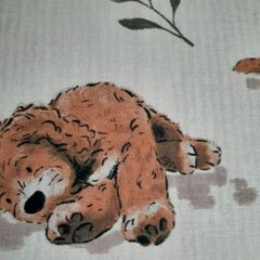 new duvet cover and duvet