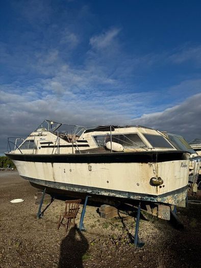 Project Cruisers End of Season sell off.