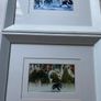 a pair of prints framed and glazed in a white frame Image 3