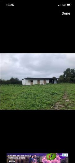 Stables and 2 acres of land to rent