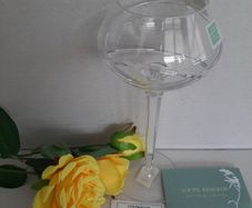 New beautiful red wine vintage long stemmed glass