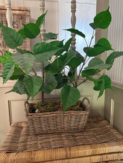 Washed rattan planter console or centrepiece with timer lights