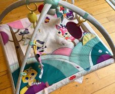 Baby playmat (+spare mat + bird)