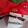 New genuine pandora jumper charm Image 5