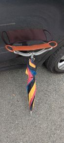Vintage Umbrella > Shooting/Walking Stick > Leather Seat