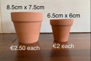 Clay pots