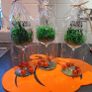 Hocus pocus wine glasses Image 3