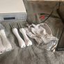 Microcurrent Facial Machine Image 7