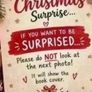 Beautifully Wrapped Christmas Book Gift Image 4