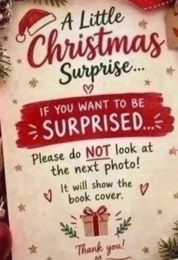 Beautifully Wrapped Christmas Book Gift